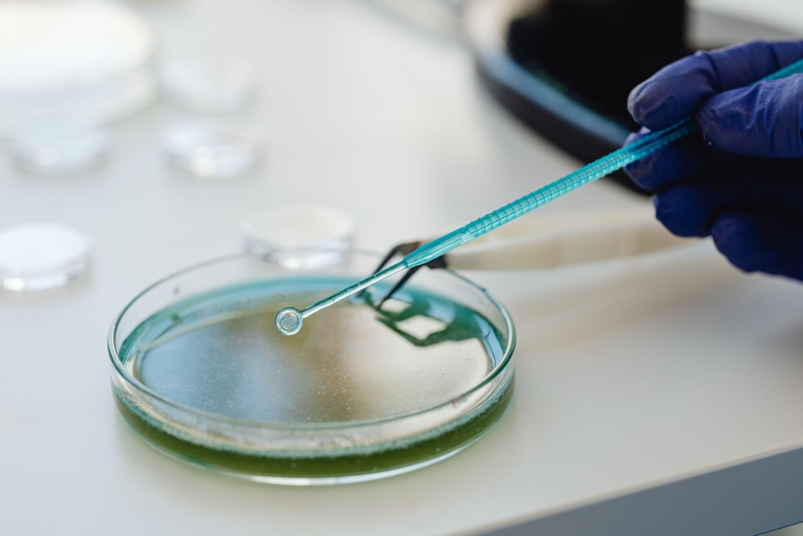 Pesquisador trabalhando em laboratório de biotecnologia