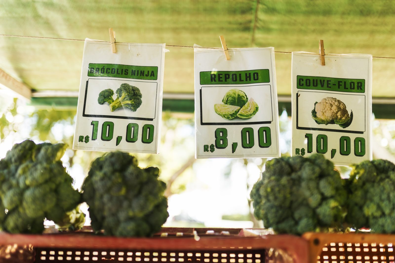 Consumidor confere preços de alimentos em supermercado brasileiro
