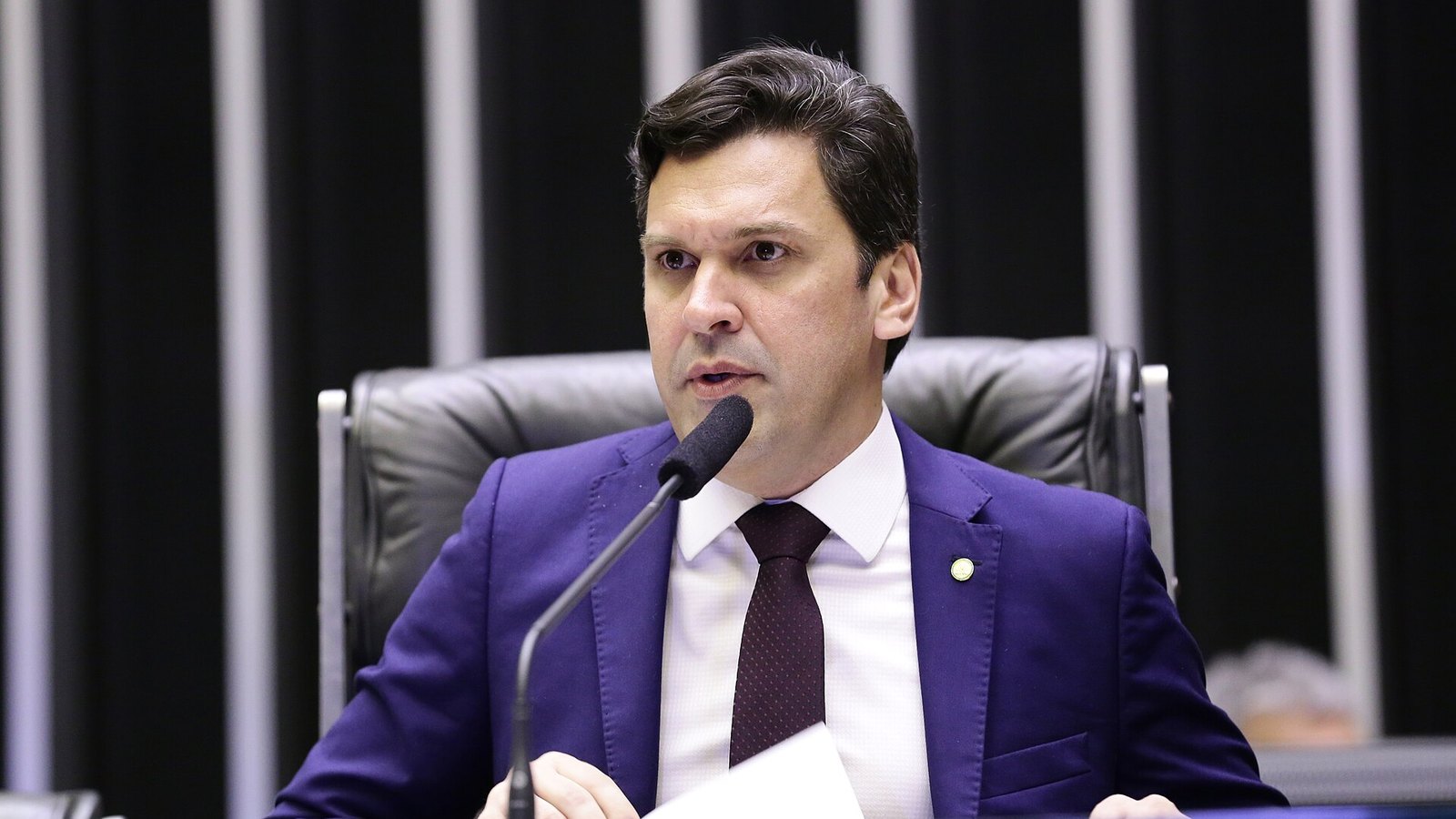 Deputado Isnaldo Bulhões