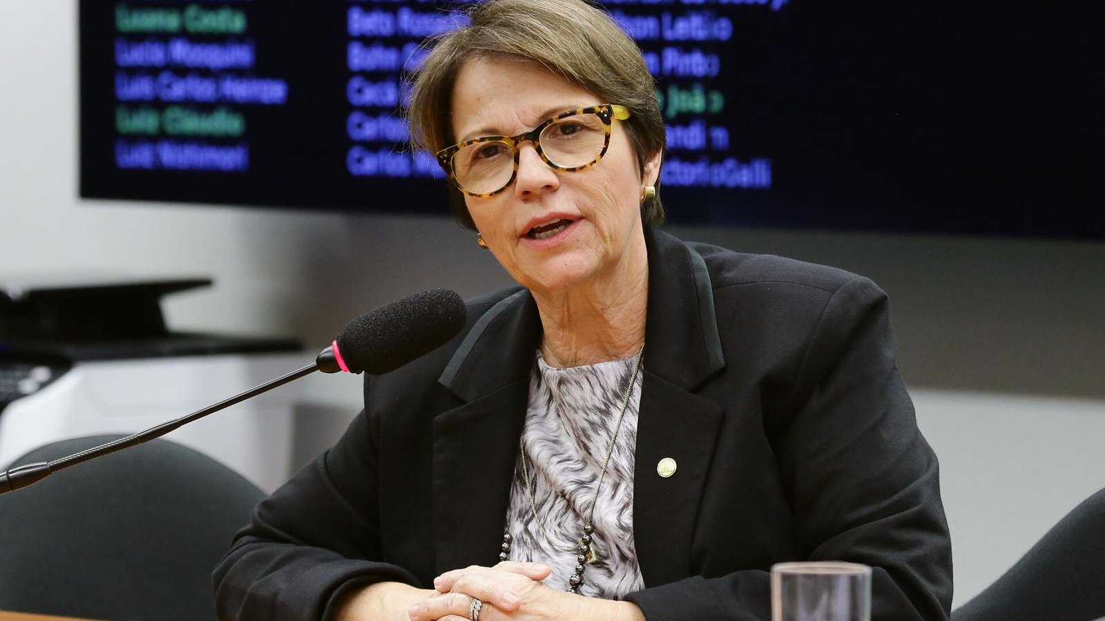 Tereza Cristina, senadora da República pelo Mato Grosso do Sul